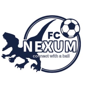 NEXUM薬円台フットサルコート